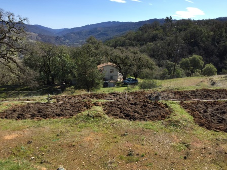 Grow pits terraces A and B 02.JPG